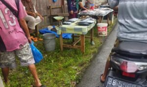 IMG-20231026-WA0184