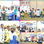 IMG-20231102-WA0010