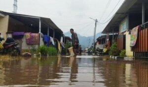 IMG-20231127-WA0164