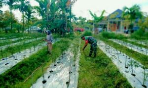 IMG-20231205-WA0195