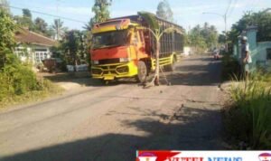 IMG-20231222-WA0137