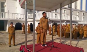 IMG-20240213-WA0335(2)