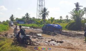 IMG-20240309-WA0011