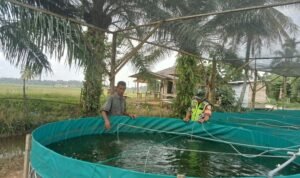 IMG-20240319-WA0159