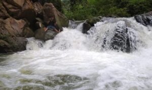 IMG-20240413-WA0067