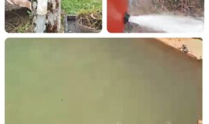 IMG-20240421-WA0010