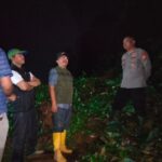 IMG-20240427-WA0117(1)