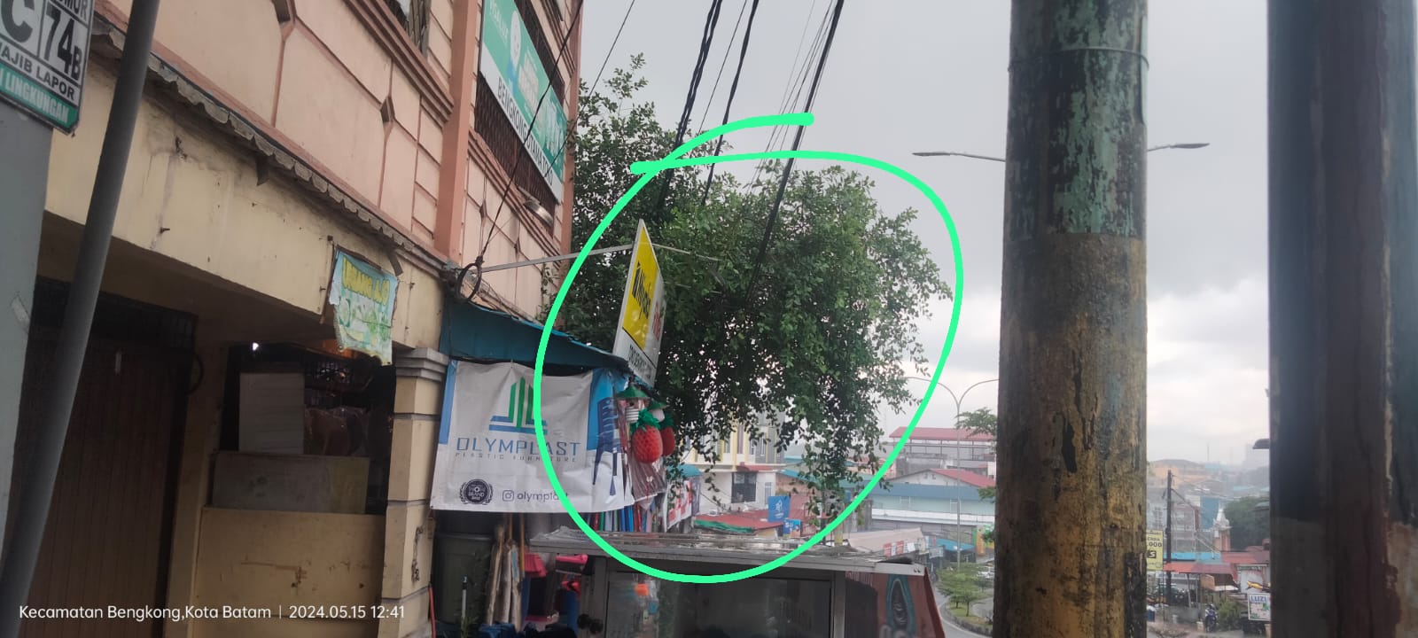 Kabel Listrik Terlihat Sentuh Pepohonan, Diminta Pihak Petugas PLN untuk Menertibkan