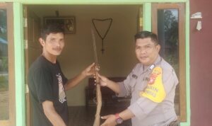 IMG-20240520-WA0018