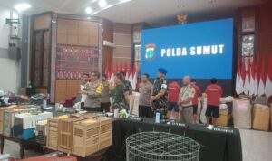 IMG-20240604-WA0008