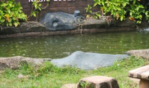 IMG-20240605-WA0092