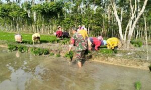 IMG-20240613-WA0012