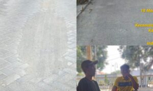 IMG-20240613-WA0231