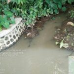 IMG-20240703-WA0139