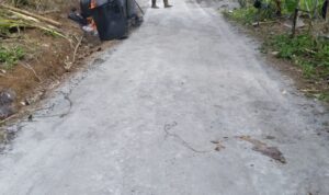 IMG-20240710-WA0017