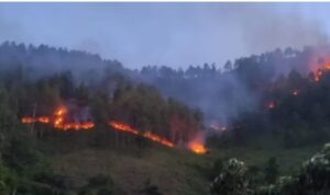 IMG-20240717-WA0003