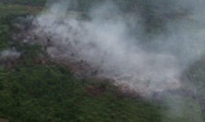 IMG-20240724-WA0011