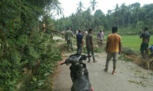 IMG-20240728-WA0006