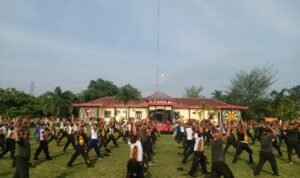 IMG-20240809-WA0272