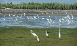 IMG-20240912-WA0048