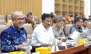IMG-20240912-WA0142