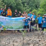 Pentingnya Pohon Mangrove di Pantai Nongsa, PT PLN Batam Tanam 1.000 Demi Menjaga Kelestarian Lingkungan