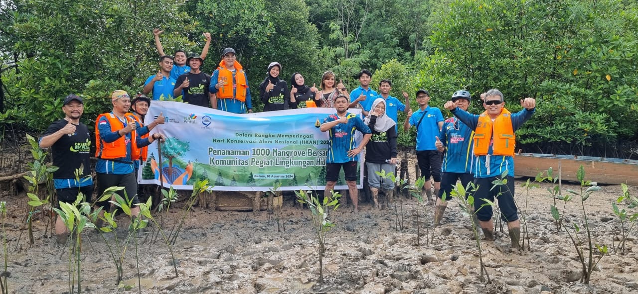 Pentingnya Pohon Mangrove di Pantai Nongsa, PT PLN Batam Tanam 1.000 Demi Menjaga Kelestarian Lingkungan