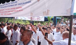 IMG-20241023-WA0013