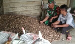Diskusi Harga dan Ekspor, Sertu Johanes Sambangi Agen Pinang Kering