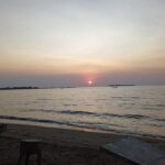 IMG-20241103-WA0020