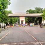 IMG-20241119-WA0016