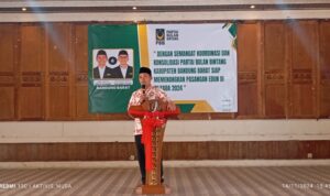 IMG_20241114_154531