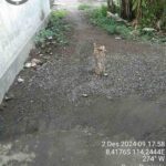 IMG-20241202-WA0006