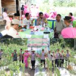 Polres Buru Kembali Panen Jagung, Kapolres: Sudah 10 Hektar dari Target 100 Hektar di Tahun 2025 Polres Buru Kembali Panen Jagung, Kapolres: Sudah 10 Hektar dari Target 100 Hektar di Tahun 2025