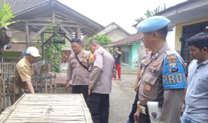 IMG-20250225-WA0126