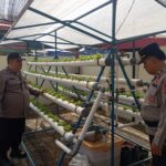 Polsek Bengkong Dukung Ketahanan Pangan Nasional dengan Program Pengelolaan Lahan Produktif Polsek Bengkong Dukung Ketahanan Pangan Nasional dengan Program Pengelolaan Lahan Produktif