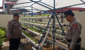 Polsek Bengkong Dukung Ketahanan Pangan Nasional dengan Program Pengelolaan Lahan Produktif Polsek Bengkong Dukung Ketahanan Pangan Nasional dengan Program Pengelolaan Lahan Produktif