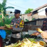 Polsek Belakang Padang Panen Jagung di Bulan Ramadhan, Dukung Ketahanan Pangan dan Kesejahteraan Warga Polsek Belakang Padang Panen Jagung di Bulan Ramadhan, Dukung Ketahanan Pangan dan Kesejahteraan Warga
