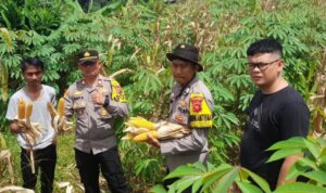 IMG-20250425-WA0013(1)