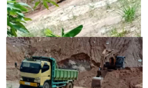 Cut and Fill di Bengkong Diduga Tak Berizin dan Cemarkan Lingkungan, Diminta BP Batam, DLH, APH Usut Cut and Fill di Bengkong Diduga Tak Berizin dan Cemarkan Lingkungan, Diminta BP Batam, DLH, APH Usut