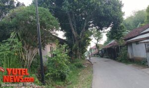 IMG-20250609-WA0209