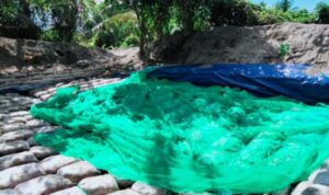 IMG-20250721-WA0007