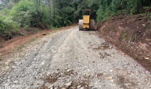 IMG-20250813-WA0064