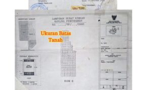IMG-20250824-WA0097