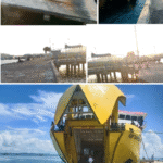 collagemaker.photoeditor.pic.grid.effect_202582182546435