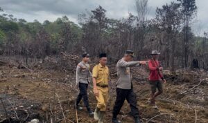 IMG-20250929-WA0113