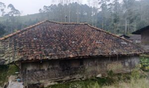 IMG-20251008-WA0001