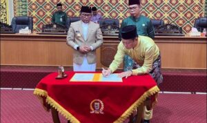 IMG-20251119-WA0211