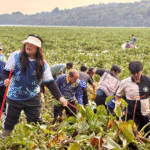 Aksi BP Batam Bersihkan Waduk Duriangkang, Jaga Kualitas Sumber Air Aksi BP Batam Bersihkan Waduk Duriangkang, Jaga Kualitas Sumber Air