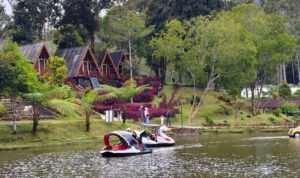 IMG-20251221-WA0019